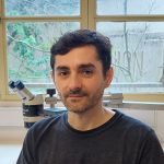 Marcelo Alejandro Moreno