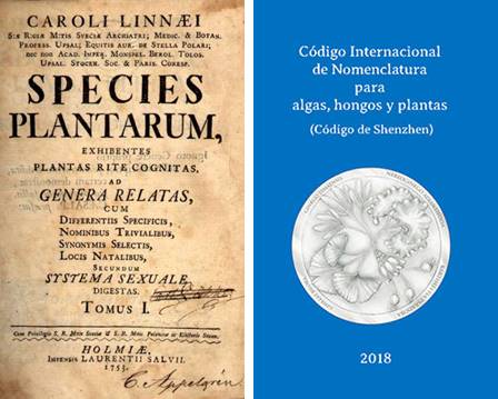 Línea Investigación Taxonomía 1