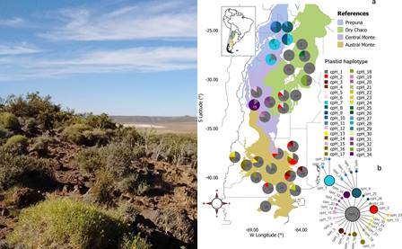 Línea Biogeografía