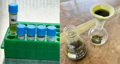 Línea Investigación Botánica Aplicada